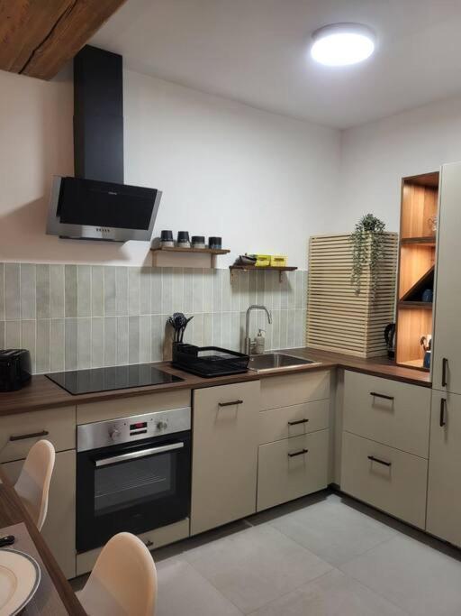 O Bon'Endroit - Appartement Confort - Centre Ville Vienne  Bagian luar foto